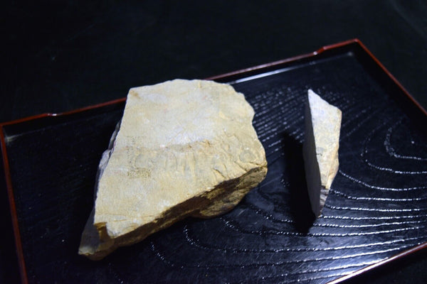 Japanese Natural Whetstone Mizukihara *Uchigumori* Haze 420g Kyoto Japan *F/S*