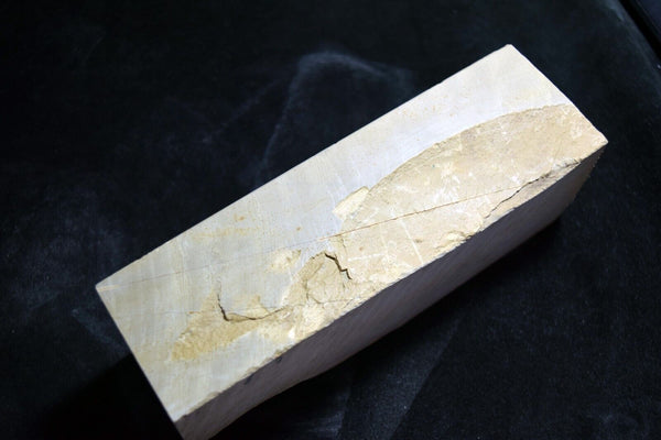 Japanese Natural Whetstone Yaginoshima Shiro Suita Chunk 2325g from Kyoto Japan
