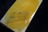 Japanese Natural Whetstone Shohonyama Nakayama Suita with 'Maruka' Stamp 975g